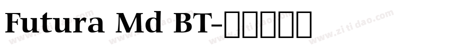 Futura Md BT字体转换